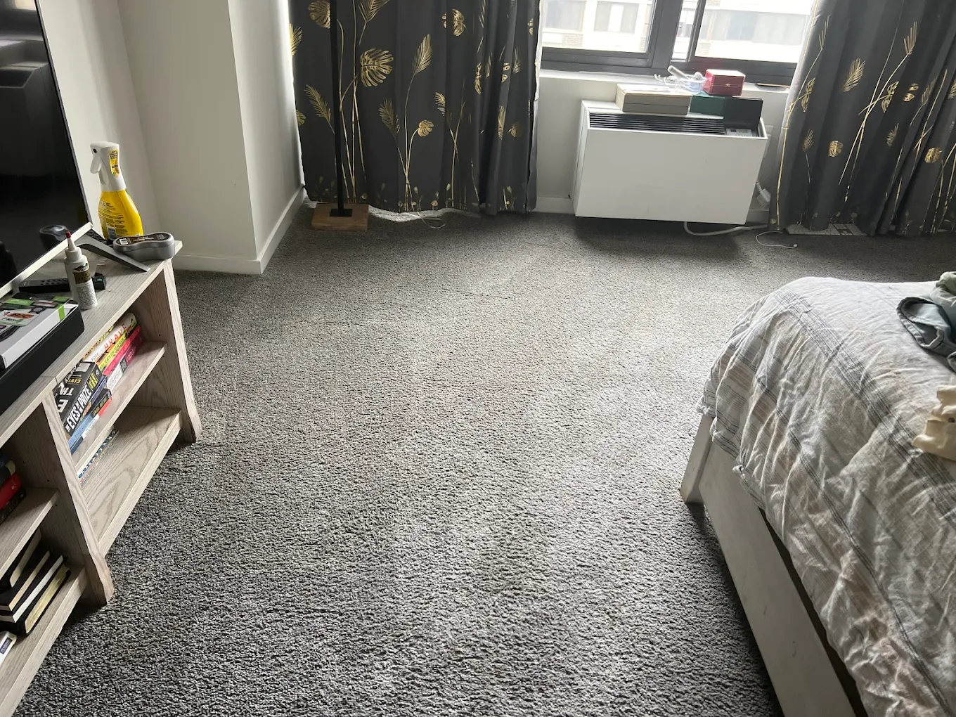 Evolution Carpet Care